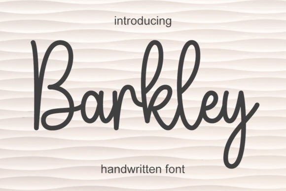 Barkley: A Friendly Font for Bold Campaigns