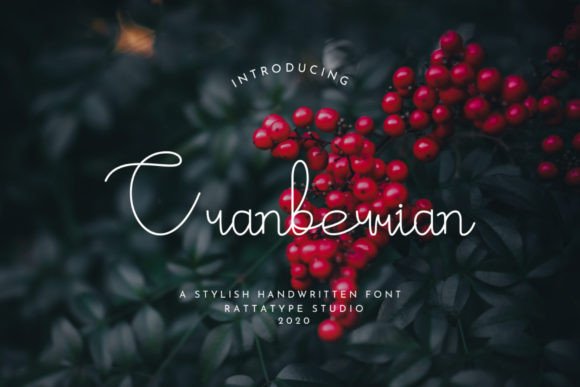Cranberrian Font: Elegance in Modern Web Typography