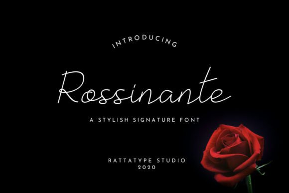 Rossinante Typeface: A Luxurious Script for Creative Makers