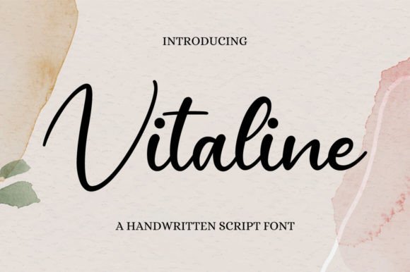 Vitaline Font: Crafting Clear and Captivating Campaigns